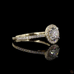 Round Brilliant Diamond Halo Engagement Ring in 14K Gold